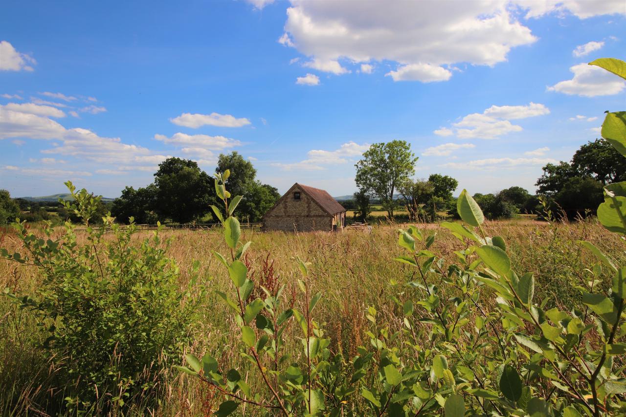 South Cottage - Rural Gem In The Heart Of The Sussex Countryside Twineham Buitenkant foto