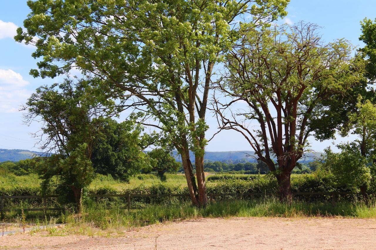 South Cottage - Rural Gem In The Heart Of The Sussex Countryside Twineham Buitenkant foto